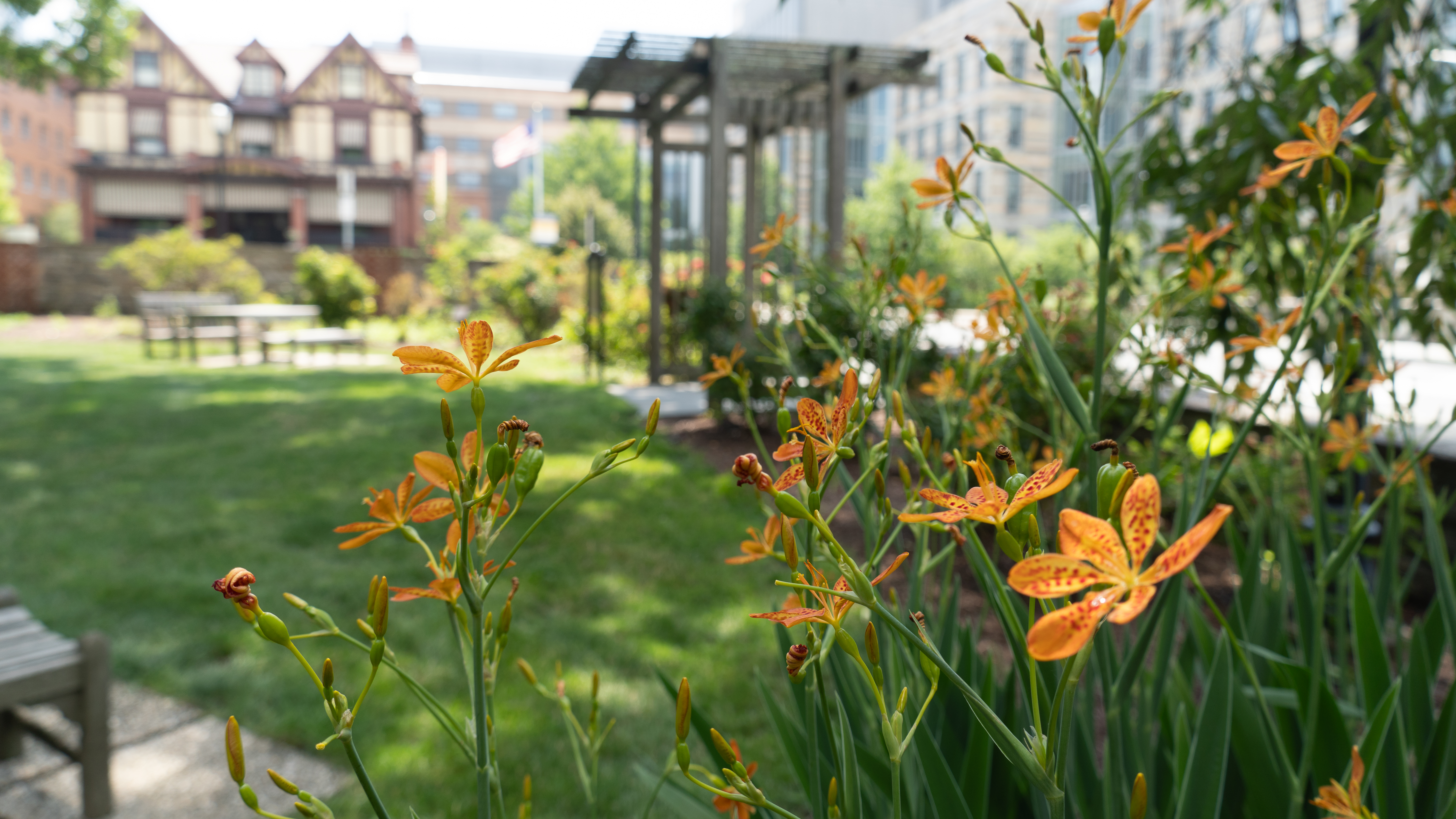 Campus garden